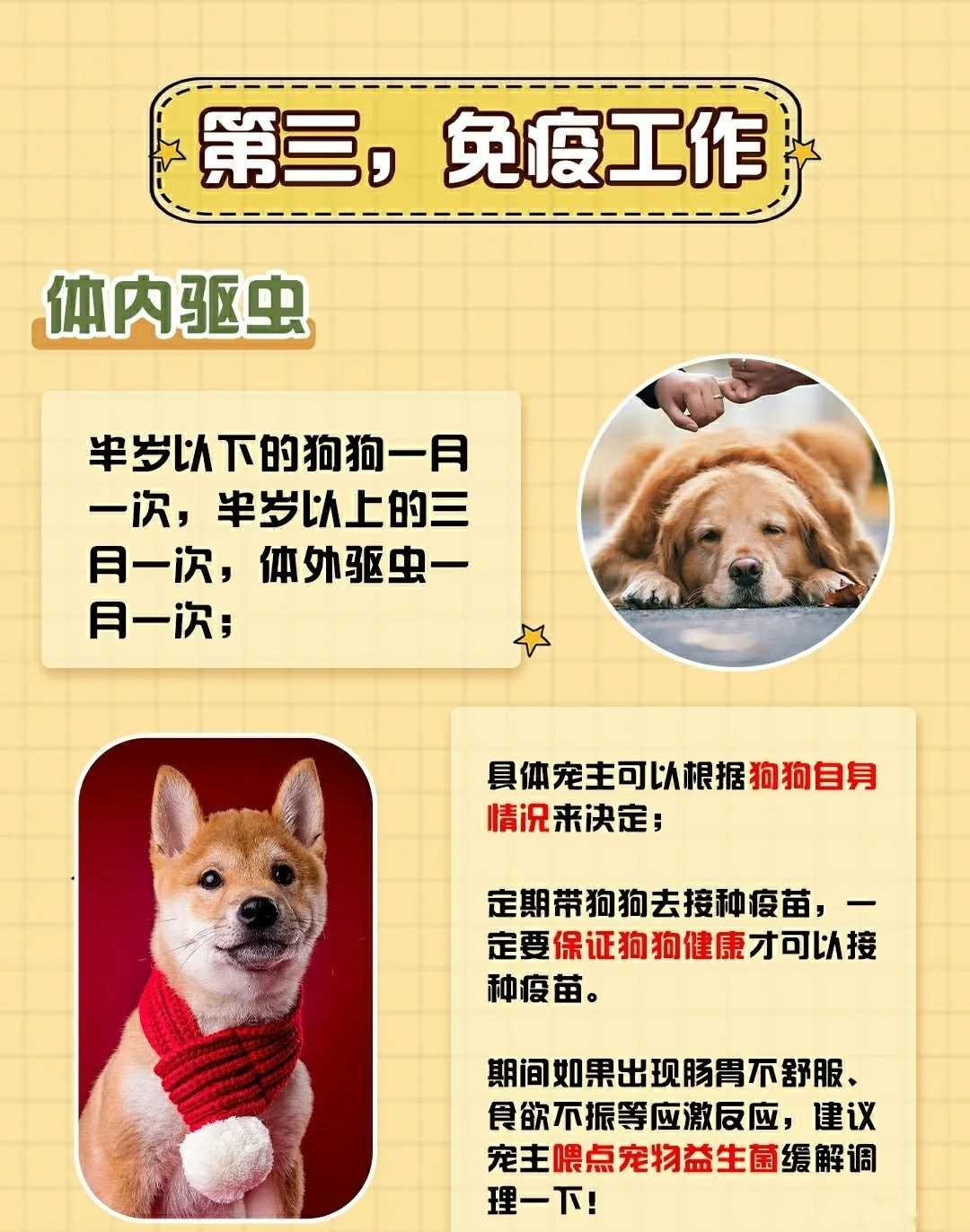 精品锤系德牧幼犬 锤系德国牧羊犬北京德牧犬舍